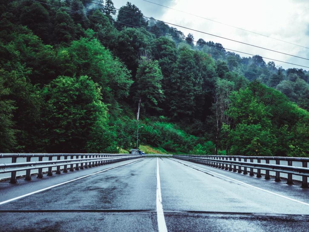 Lessons Learned While Growing Up in the&nbsp;Car