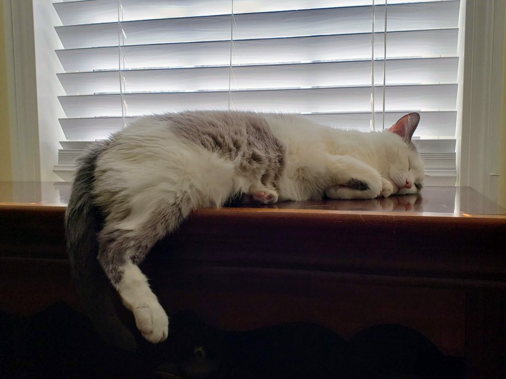 The Comfort of Sunday: Traditions That Feed the&nbsp;Soul